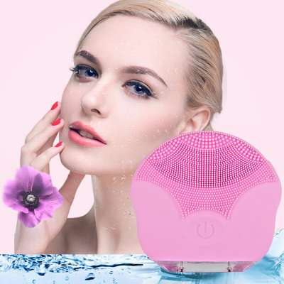 Portable Double Side Silicone Deep Facial Cleanser Brush.